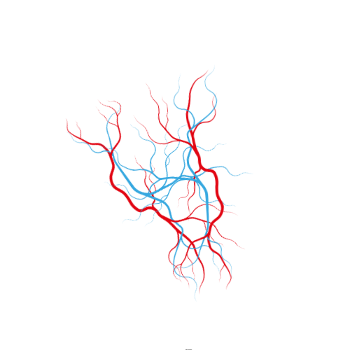 جراحة اوعية دموية للبالغين و الأطفال
